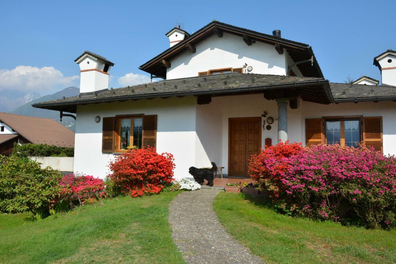 Villa Palma คอลีโก ภายนอก รูปภาพ